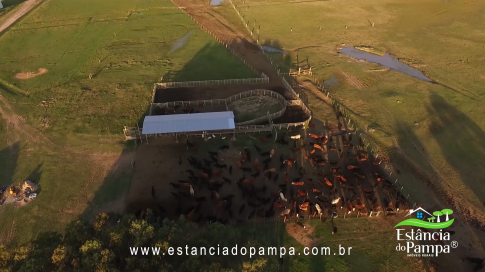 FAZENDA À VENDA NO RS COM 2274 HA (2).00_03_47_10.Quadro024_14f379766faa8842837b915a22eef3d5dad78e73.png